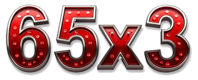 65x3 logo